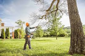 Best Tree and Shrub Care  in Lakin, KS